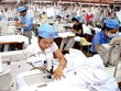 TCM: Ước lãi ròng 144 tỷ đồng, không hoàn thành kế hoạch năm