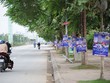 Quảng cáo các dự án bất động sản được dán ở mọi gốc cây trên đường Tố Hữu, Hà Đông, Hà Nội