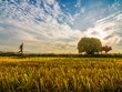 Sự kiện chứng khoán đáng chú ý ngày 16/7