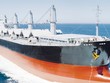 Bảo hiểm thân tàu và tai nạn dân sự chủ tàu nhiều năm liên tiếp bồi thường lớn hơn doanh thu
