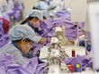 Dệt may vẫn là một trong những mặt hàng có kim ngạch xuất khẩu lớn và tốc độ tăng trưởng cao