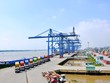 Đề xuất 7 nhóm giải pháp chống ùn tắc cho cảng Cát Lái