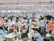 Lao động là một trong những yếu tố sống còn của doanh nghiệp dệt may