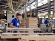 Thị trường xuất khẩu gỗ của Việt Nam ngày càng mở rộn