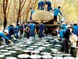 Giá cao su tự nhiên khó phục hồi do nguồn cung cao su tổng hợp đang dư thừa 