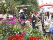 Chợ hoa đầu mối đầu tiên của TP. Đà Lạt sẽ có công suất tiêu thụ 200 triệu cành/năm (Ảnh minh họa)