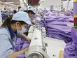 Theo ILO, dự báo đến năm 2015, Việt Nam có khả năng tăng thêm 6 triệu việc làm