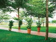 Hơn 1.000 nền đất tại Khu đô thị  The Viva City đã có chủ