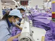 TPP mở ra cơ hội lớn cho hàng dệt may Việt Nam khi thuế suất vào các thị trường trong khối về O%