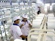 Sản phẩm của nhà máy xơ sợi Đình Vũ chịu sự cạnh tranh khốc liệt của hàng nhập khẩu, giá thấp.