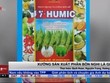 Xưởng sản xuất phân bón nghi là giả