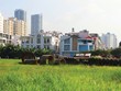 Nhiều doanh nghiệp địa ốc kêu khó với Dự thảo quyết định của UBND TP. HCM quy định về mức nộp tiền khi chuyển từ đất chuyên trồng lúa sang đất phi nông nghiệp. Ảnh: Lê Toàn