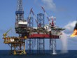 Năm 2015, giá dầu sụt giảm gần một nửa, nhưng nhiều DN dầu khí vẫn đạt kế hoạch