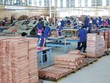 Theo quy định, sản phẩm gỗ được sản xuất, chế biến từ nguyên liệu nhập khẩu sẽ được miễn thuế xuất khẩu