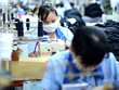 IFC hỗ trợ ngành dệt may vì đây là lĩnh vực sử dụng nhiều lao động nữ