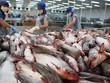 Quý I không phải là mùa tiêu thụ thủy sản, nguyên liệu đầu vào thường khan hiếm và giá cao hơn
