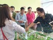 Khách hàng tìm hiểu Dự án Ecolife Capital (đường Lê Văn Lương) thuộc danh sách 45 dự án mới công bố.