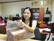 SHB phát hành 8.000 tỷ đồng kỳ phiếu ghi danh