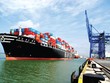 Hanjin Shipping – hãng vận chuyển container đường biển lớn nhất Hàn Quốc đã bị phá sản do thua lỗ kéo dài