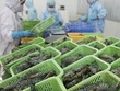 Xuất khẩu thủy sản lo “đói” nguyên liệu