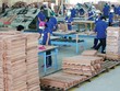 Hơn 93% doanh 
nghiệp gỗ tại Việt 
Nam có quy mô nhỏ và
 vừa, hầu hết đều thiếu vốn, thiếu thông tin thị trường