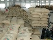 Cà phê và hồ tiêu được dự báo sẽ tiếp tục duy trì vị trí hàng đầu trong xuất khẩu nhóm hàng nông sản