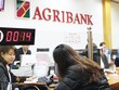 Agribank: “Đầu tàu” Chương trình mục tiêu quốc gia xây dựng nông thôn mới