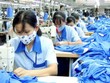 Doanh nghiệp dệt may loay hoay “vượt bão”