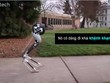 Cassie - robot 2 chân có thể tự cân bằng