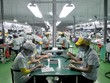 Tăng trưởng xuất khẩu năm nay rất khả quan và tiếp tục có sự đóng góp lớn của khu vực FDI