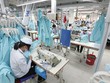 Tập đoàn Dệt may làm ăn sút kém