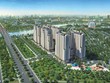 Công bố dự án Dream Home Riverside