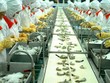 Ngành tôm phấn đấu kim ngạch xuất khẩu tăng trên 10%/năm