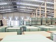 Quảng Trị sẽ có Nhà máy Nhà máy sản xuất gỗ ghép thanh và dăm băm tại Khu Công nghiệp Tân Thành (Ảnh minh họa).