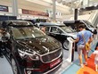 Khách tham quan tại Vietnam AutoExpo 2018