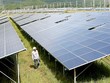 Bộ Công Thương đề xuất giá điện mặt trời mới sẽ thống nhất trên tất cả vùng, thay vì chia theo nhiều vùng bức xạ như trước đây.