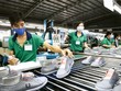 Xuất khẩu giày dép, túi xách dự kiến mang về gần 22 tỷ USD, còn dệt may đạt 39 tỷ USD trong năm 2019.