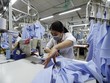 Đáp ứng được các quy định của EVFTA về xuất xứ, dệt may Việt Nam sẽ được hưởng lợi lớn từ ưu đãi thuế quan. Ảnh: Đ.T