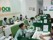 11 tháng, OCB đạt 427 tỷ đồng lợi nhuận trước thuế