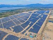 BCG đóng điện nhà máy năng lượng mặt trời Phù Mỹ, Bình Định