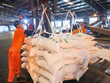 PVFCCo - Phú Mỹ (DPM) khánh thành Hệ thống băng tải phân bón công suất 55 tấn/giờ