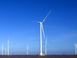 Đầu tư hơn 70.000 tỷ đồng phát triển dự án nhà máy điện gió tại Cà Mau
