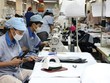 Việt Nam đã xuất khẩu hơn 106 tỷ USD hàng dệt may trong 5 năm