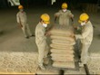 Xuất khẩu xi măng 2015 khó cán đích 20 triệu tấn