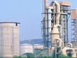 Xi măng Bỉm Sơn lãi 260 tỷ đồng năm 2015, tăng 60,7% cùng kỳ
