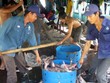 Giá cá tra tăng cao, người dân phấn khởi.
