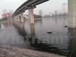 Hồ Hoàng Cầu (quận Đống Đa, Hà Nội) sau khi khắc phục xong tình trạng cá chết trắng hồ vào ngày 8/6. (Ảnh: Minh Nghĩa/Vietnam+)