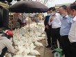 Hà Nội kiểm tra công tác phòng chống dịch tại chợ gia cầm Hà Vĩ. Ảnh: Kinhtedothi.