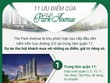 11 ưu điểm vượt trội của The Park Avenue, căn hộ trung tâm quận 11