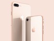 iPhone 8 hiện là thiết bị duy nhất của Apple có bộ nhớ 256 GB (iPhone X chưa bán ra).